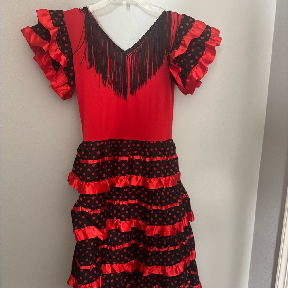 Red and Black Flamenco Kids Costume